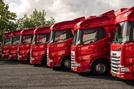 Eine Reihe roter DAF-Lkw, geparkt auf einem Parkplatz, umgeben von Bäumen.