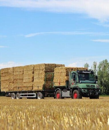 Ein grüner Mercedes-Benz Unimog transportiert große Heuballen über ein Feld.